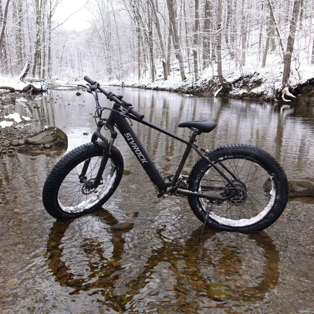 26″ Fat Tire E-Bike – 1000W Electric Mountain & City Bike