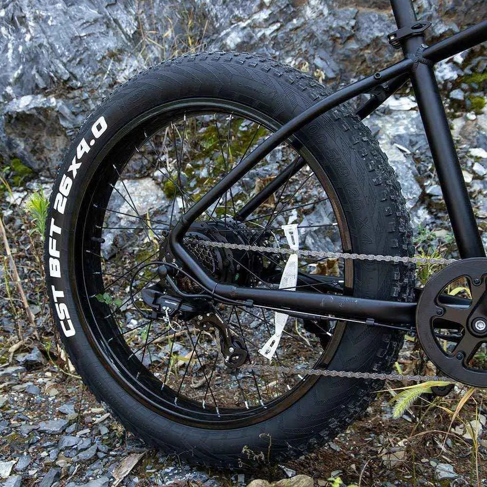 26″ Fat Tire E-Bike – 1000W Electric Mountain & City Bike