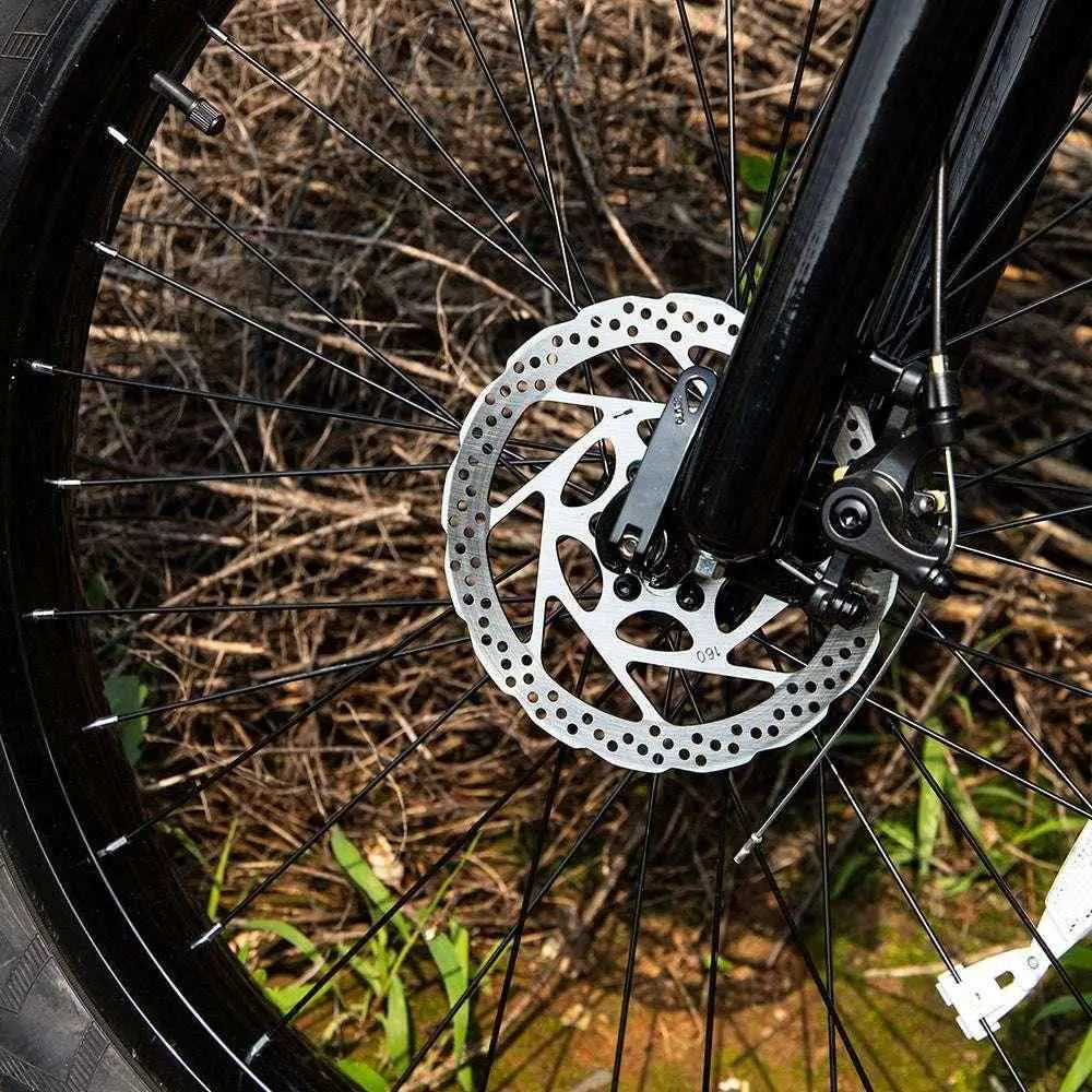 26″ Fat Tire E-Bike – 1000W Electric Mountain & City Bike