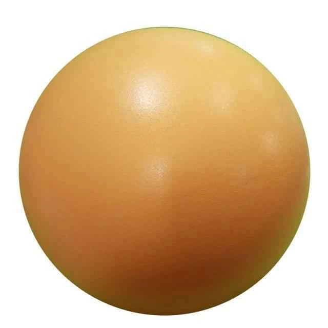 25cm Yoga Balance Ball – Perfect for Core Strength & Stability.