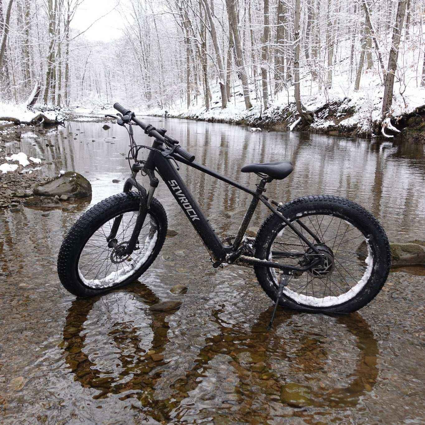 26″ Fat Tire E-Bike – 1000W Electric Mountain & City Bike