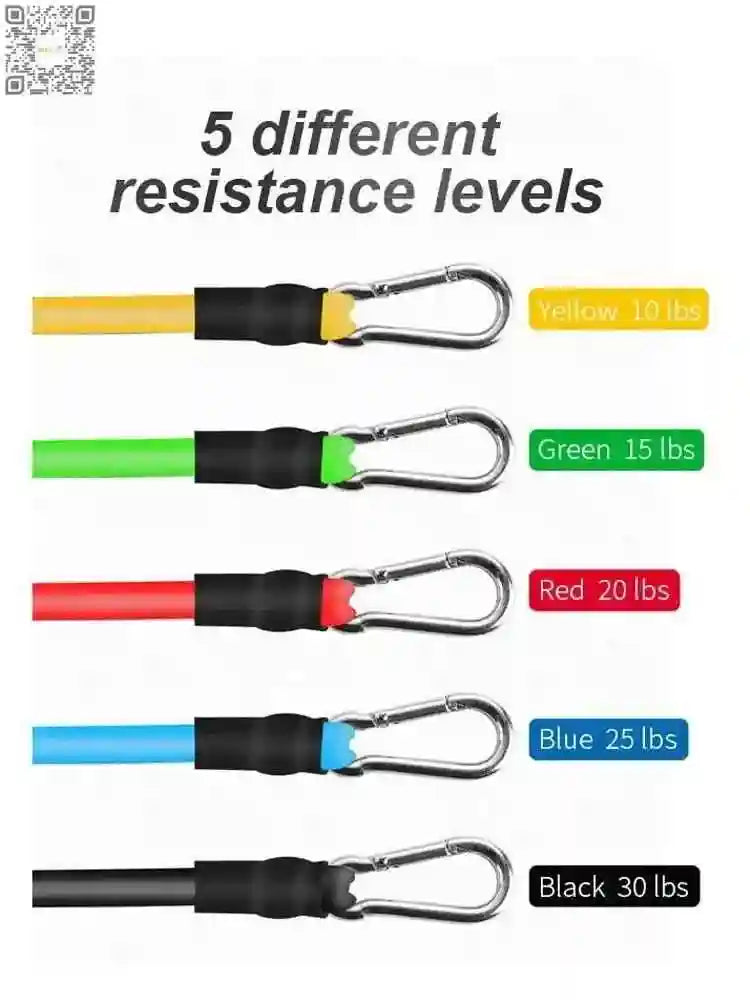 Resistance Bands Set for Women – 11-Piece Home Workout Kit - Fit Plus Now